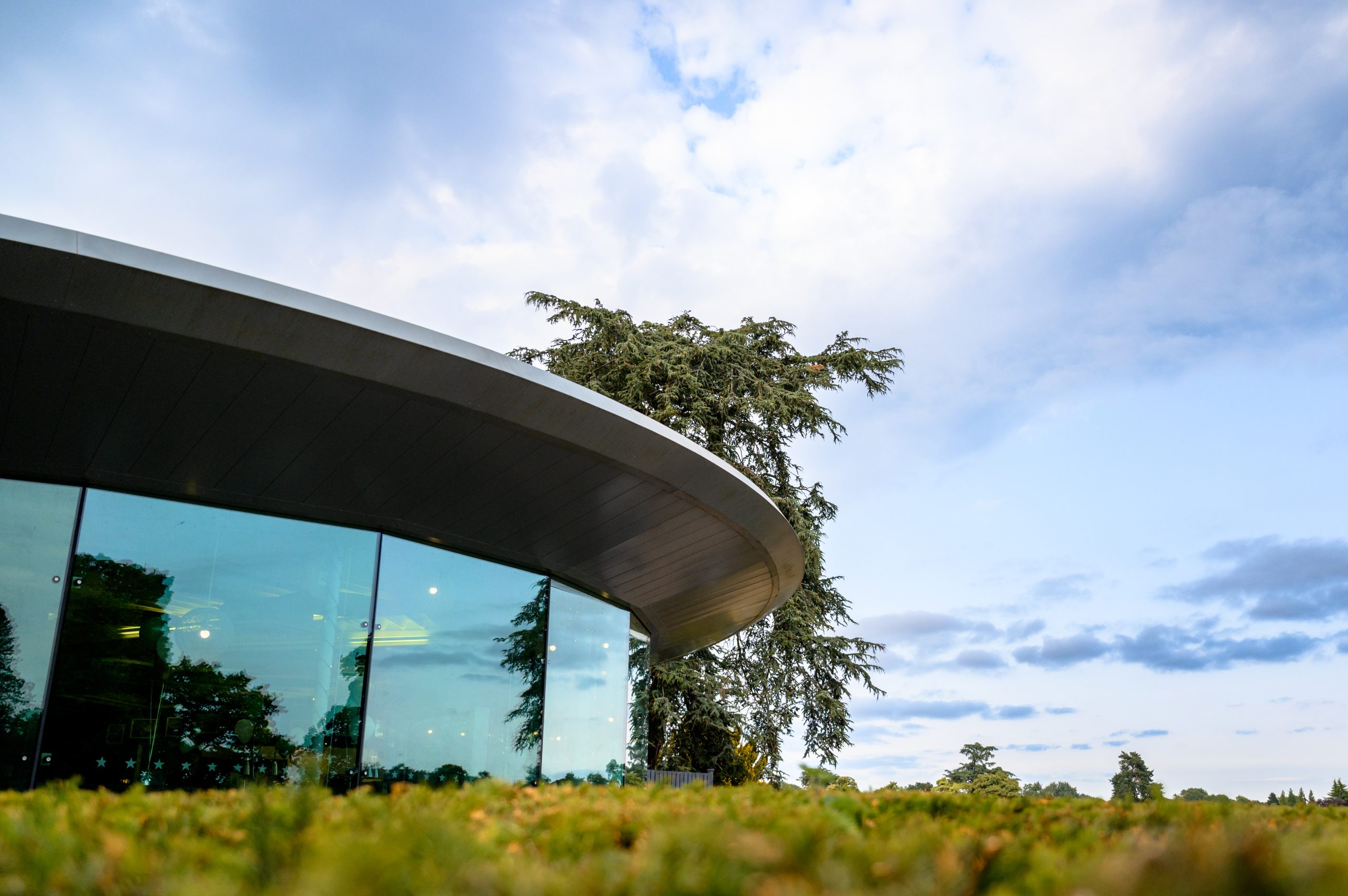 Totally Delicious Totally Delicious